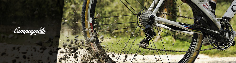 Composants Campagnolo
